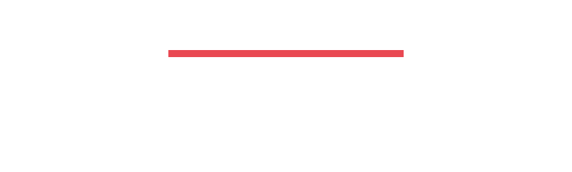 EXECUTIVE TEAM